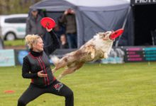 Hundesport Dogfrisbee Wettkampf
