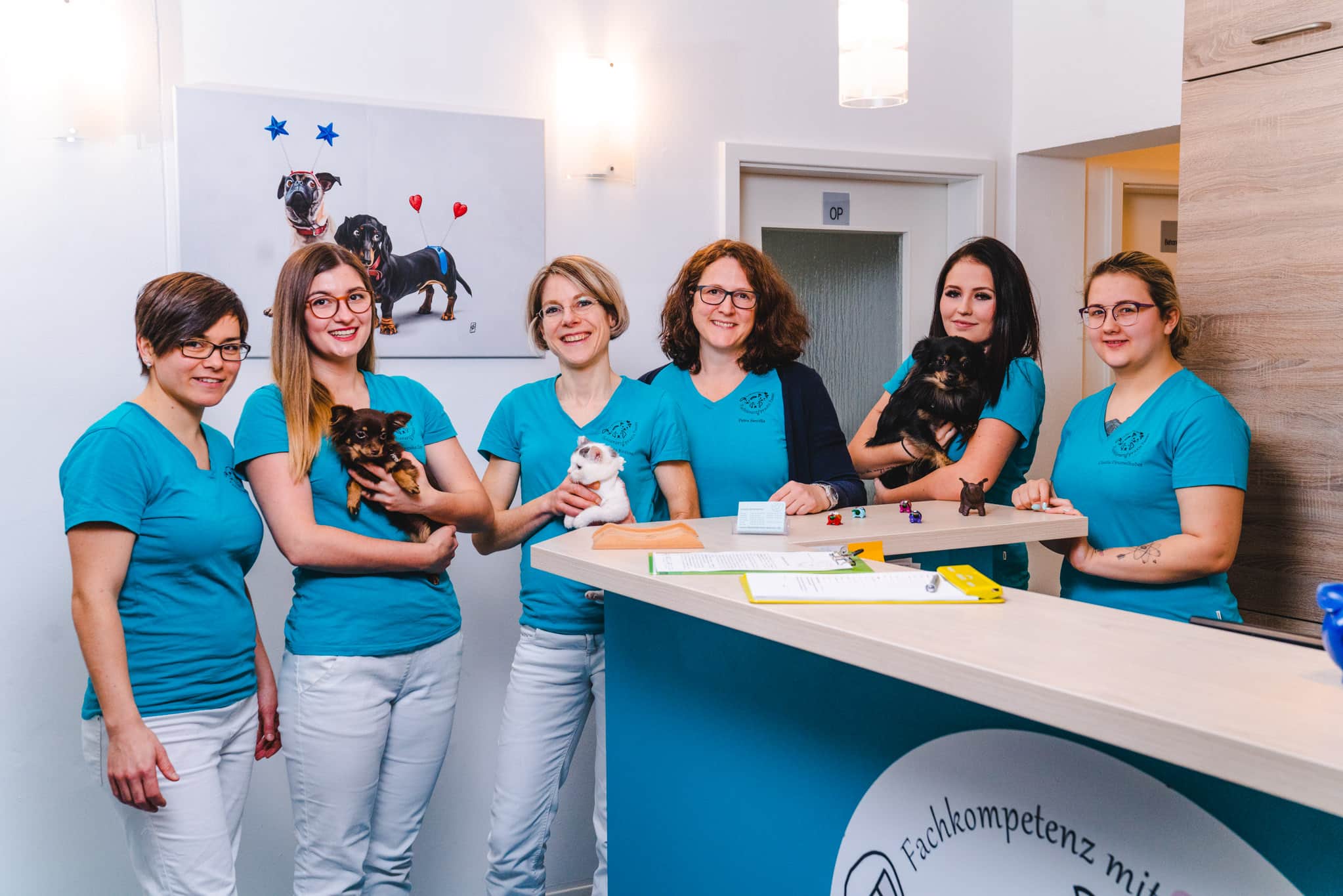 Tierarzt für Kleintiere in Passau 1